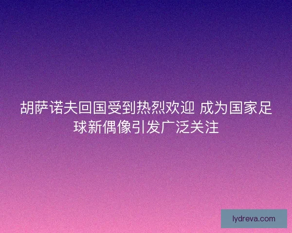 胡萨诺夫回国受到热烈欢迎 成为国家足球新偶像引发广泛关注
